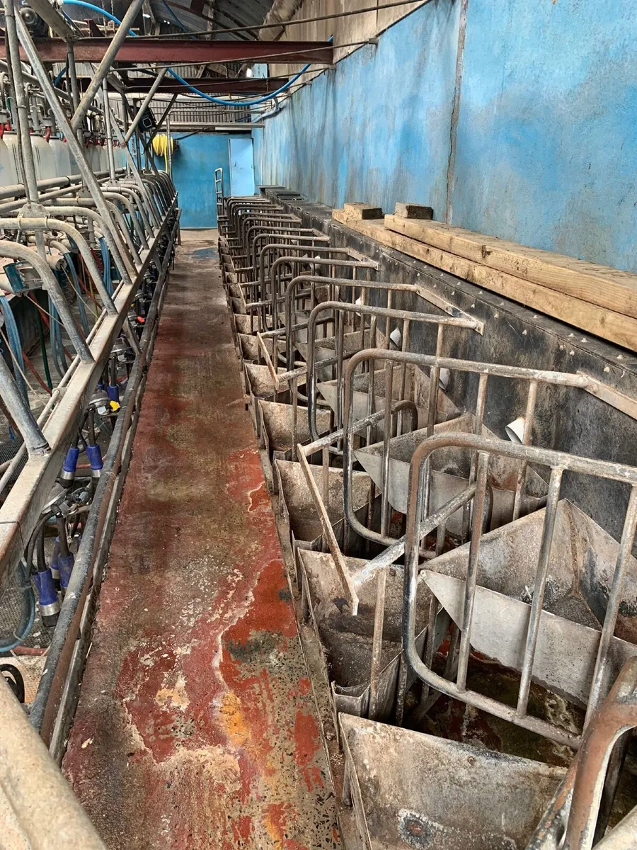 Milking parlour - Image 1
