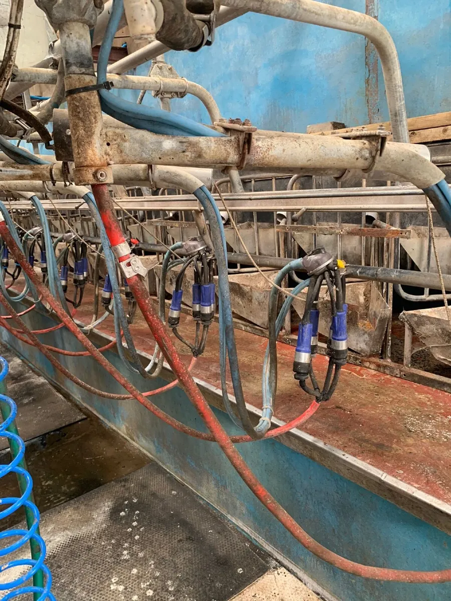 Milking parlour - Image 2