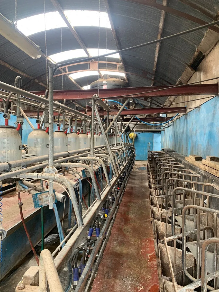 Milking parlour - Image 3