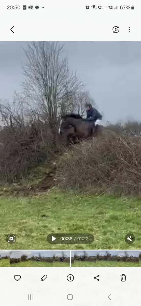 Hunting/XCountry Machine - Image 3