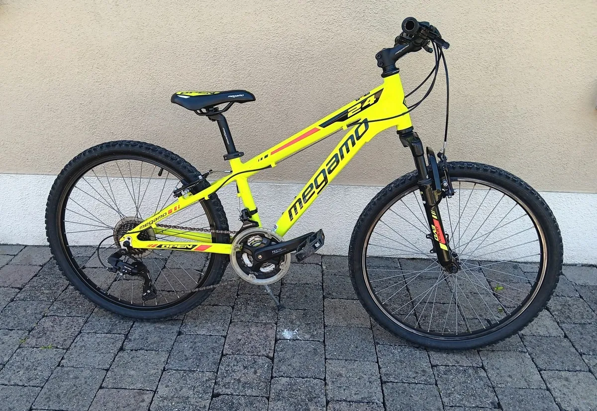 Kids Mountain Bike - Image 3