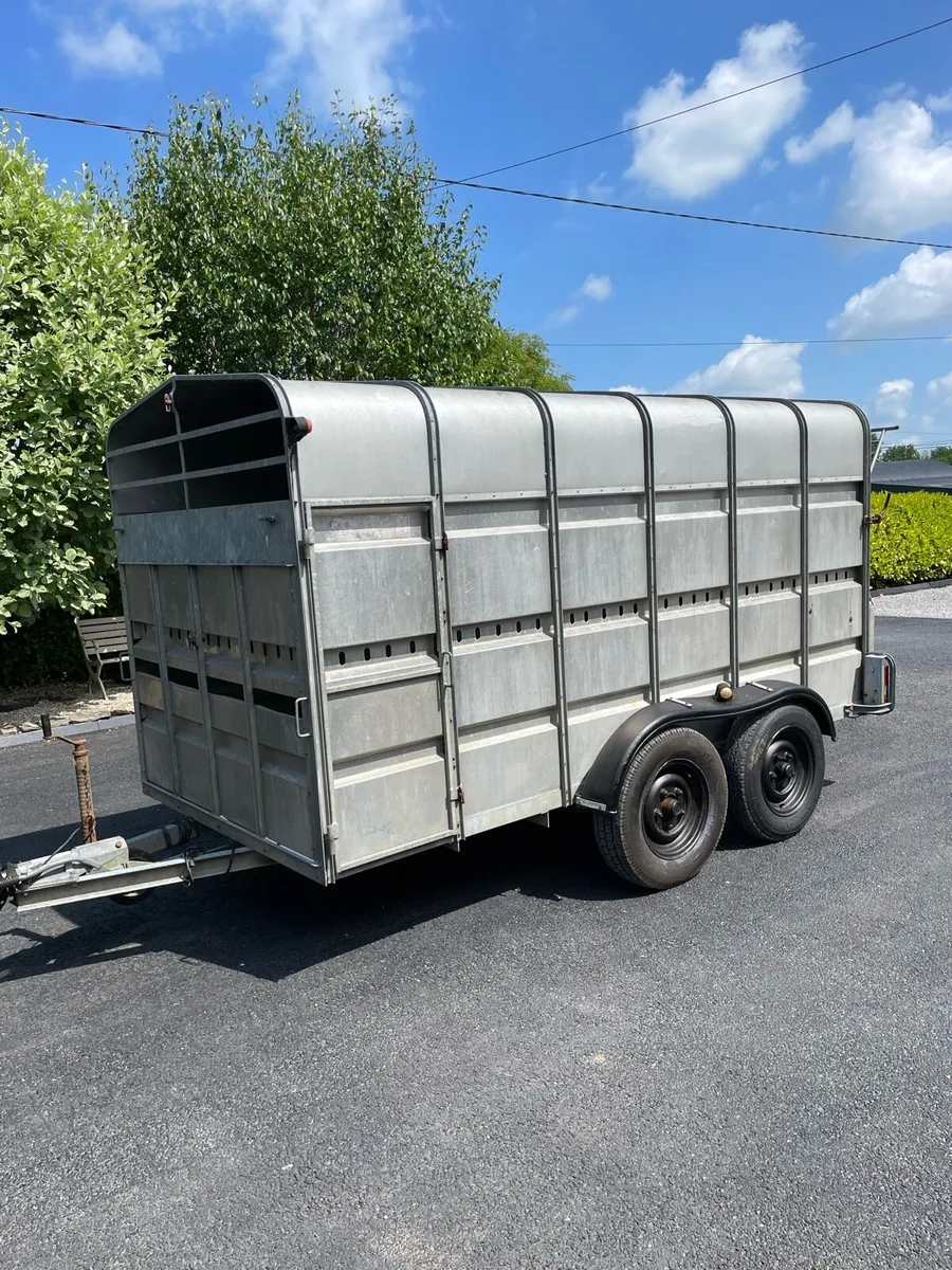 Cow trailer - Image 2