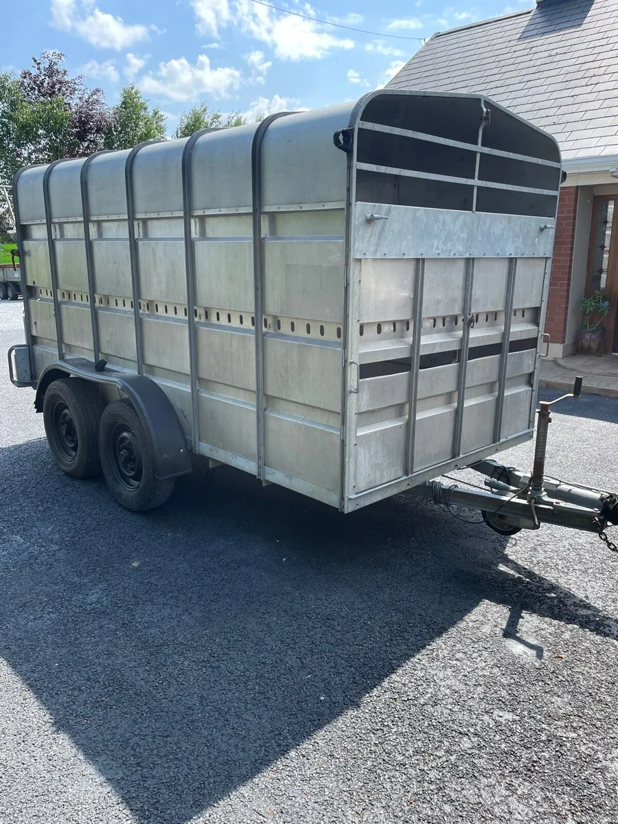 Cow trailer - Image 3