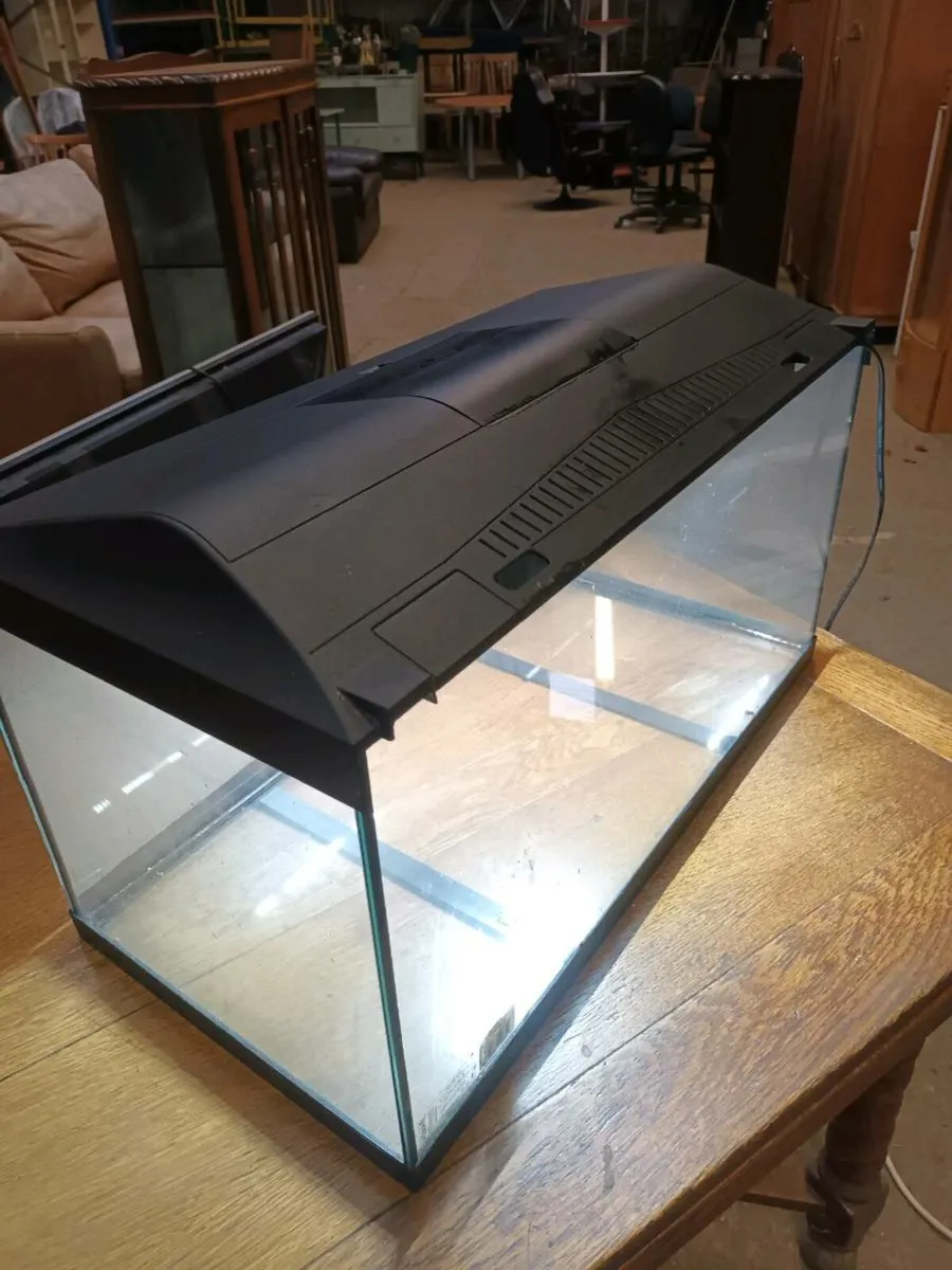 Reptile Tank - Image 1