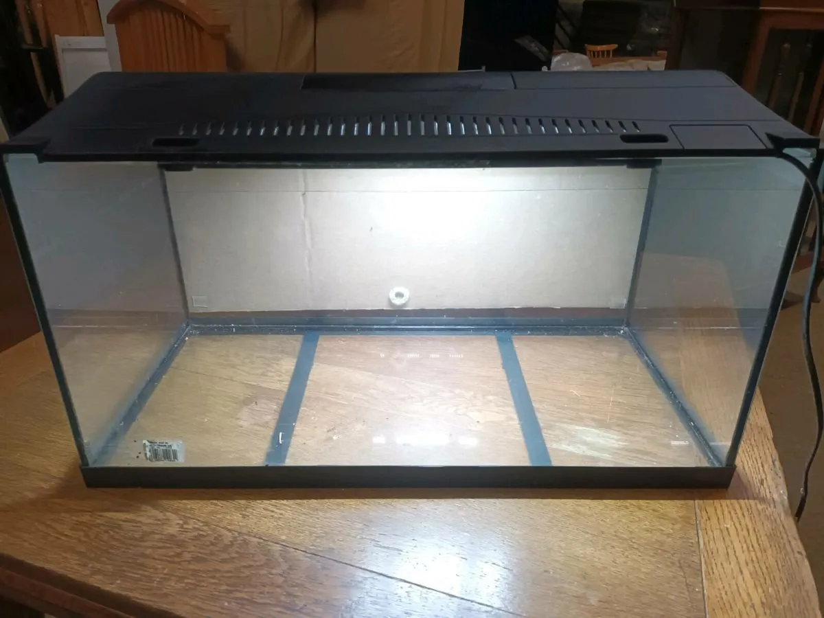Reptile Tank - Image 2