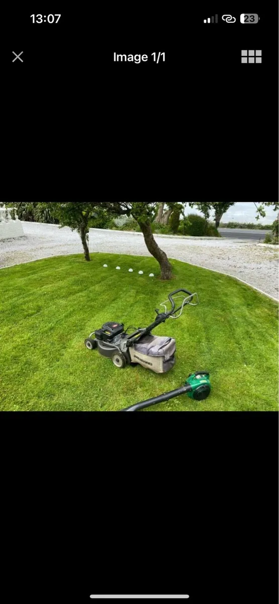 🪵 CORK GARDEN MAINTENANCE