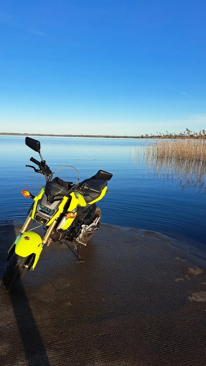 Honda msx 125 grom - Image 1