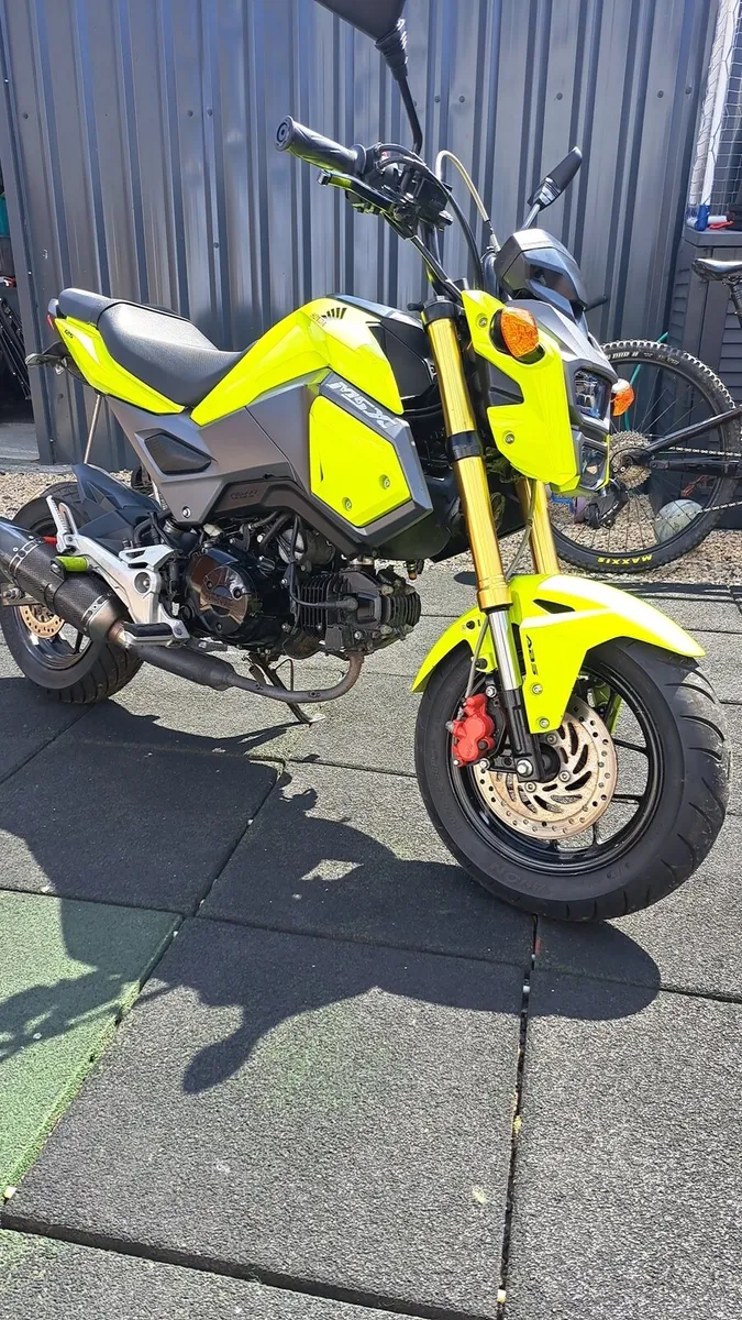 Honda msx 125 grom - Image 4