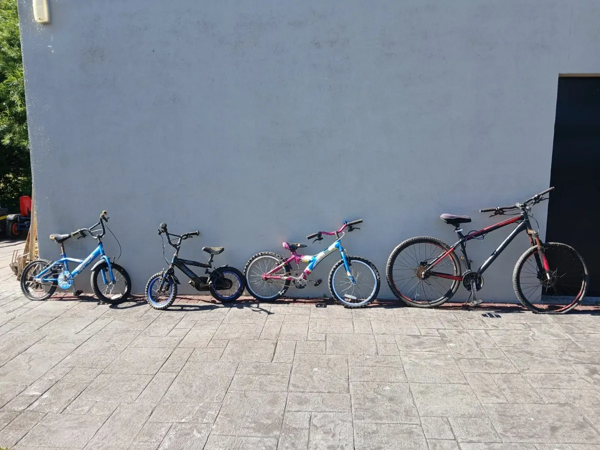 Bikes and Berg - Image 1