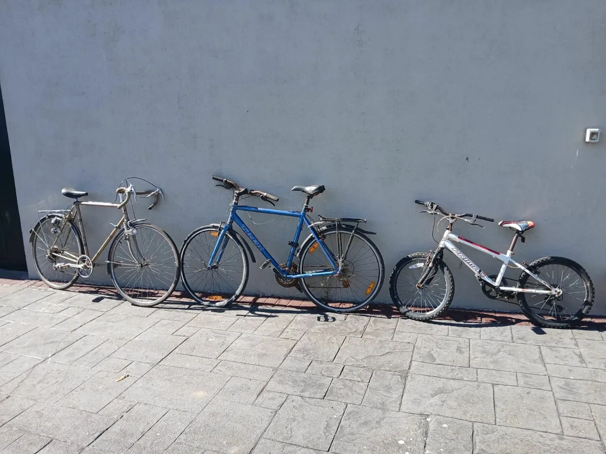 Bikes and Berg - Image 2