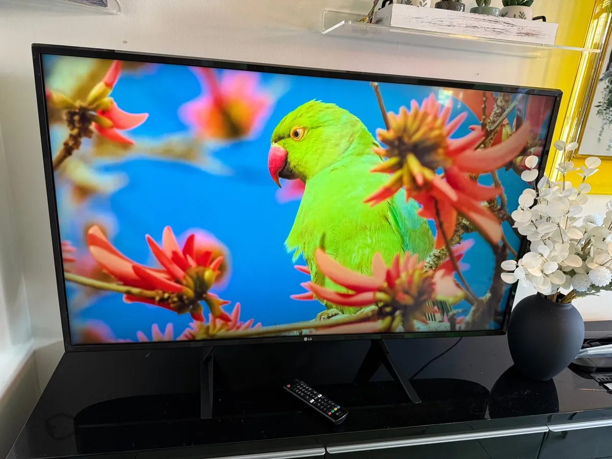 LG SMART ULTRA HD 4K 49” TV in Swords - Image 1