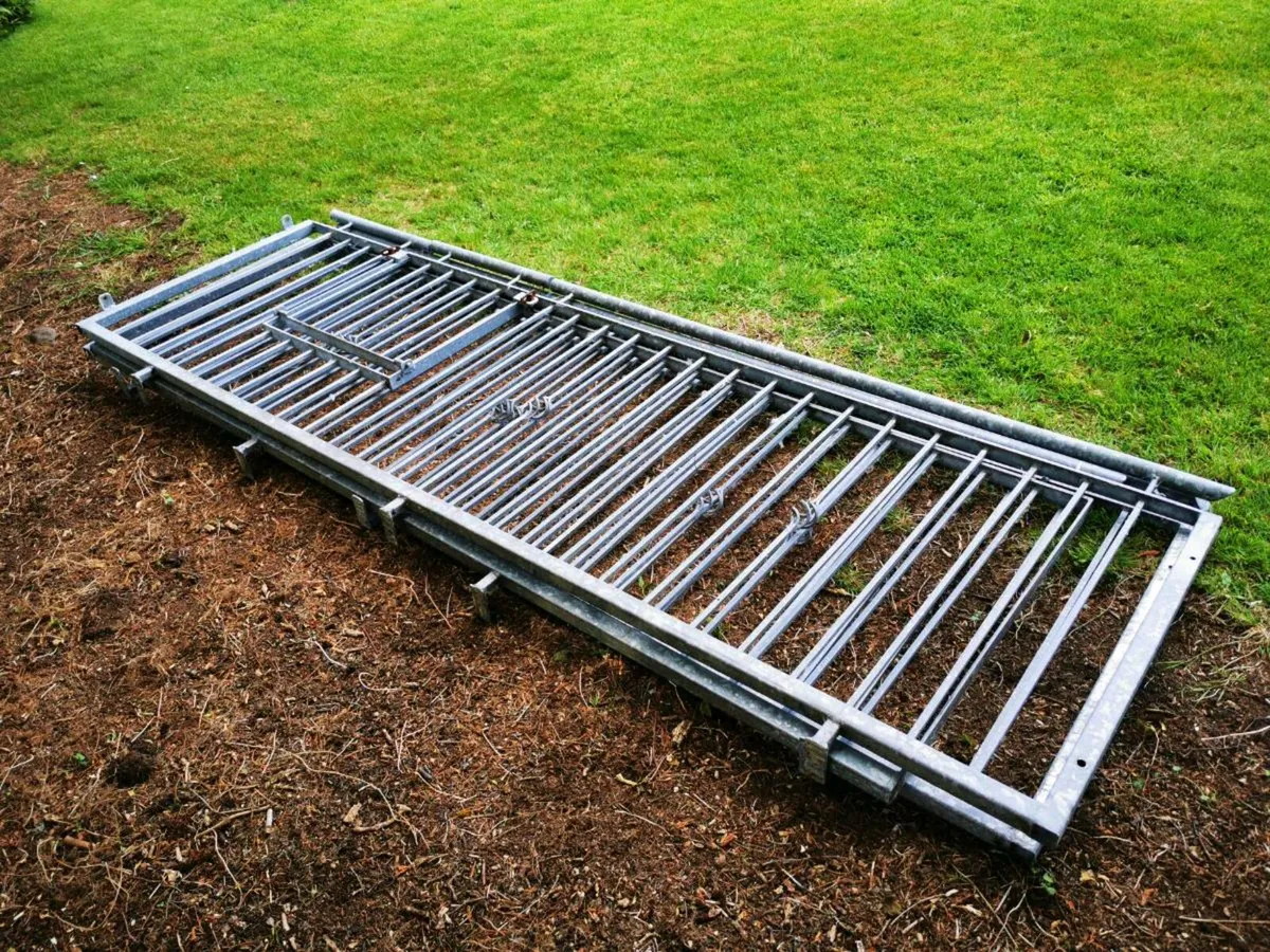 Railings - Image 1