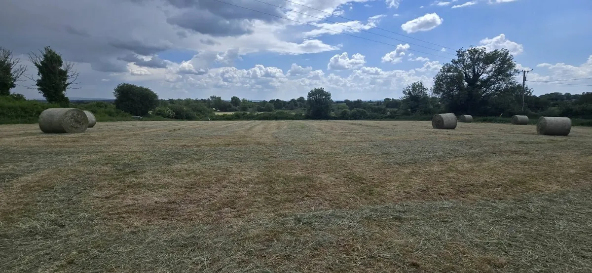 Bales of Hay - Image 2