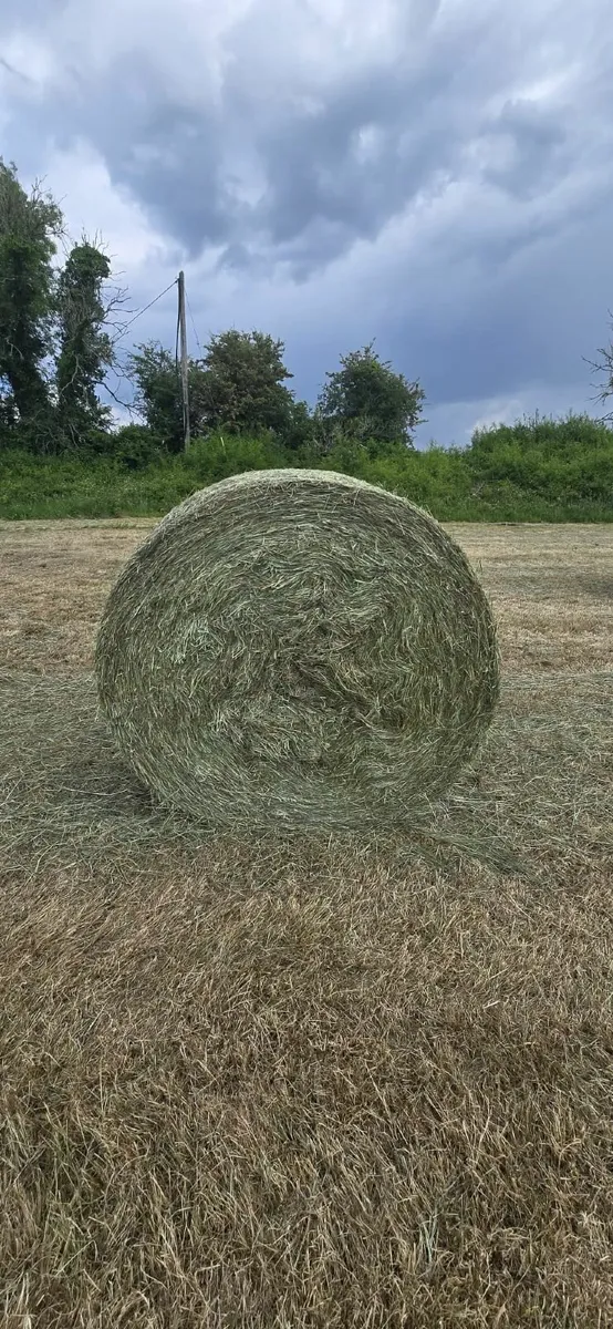Bales of Hay - Image 1