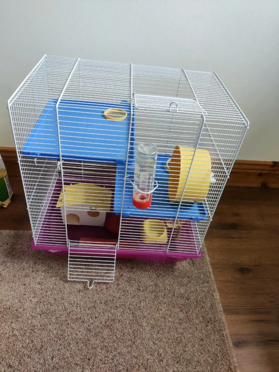 Hamster cage (including supplies) - Image 1