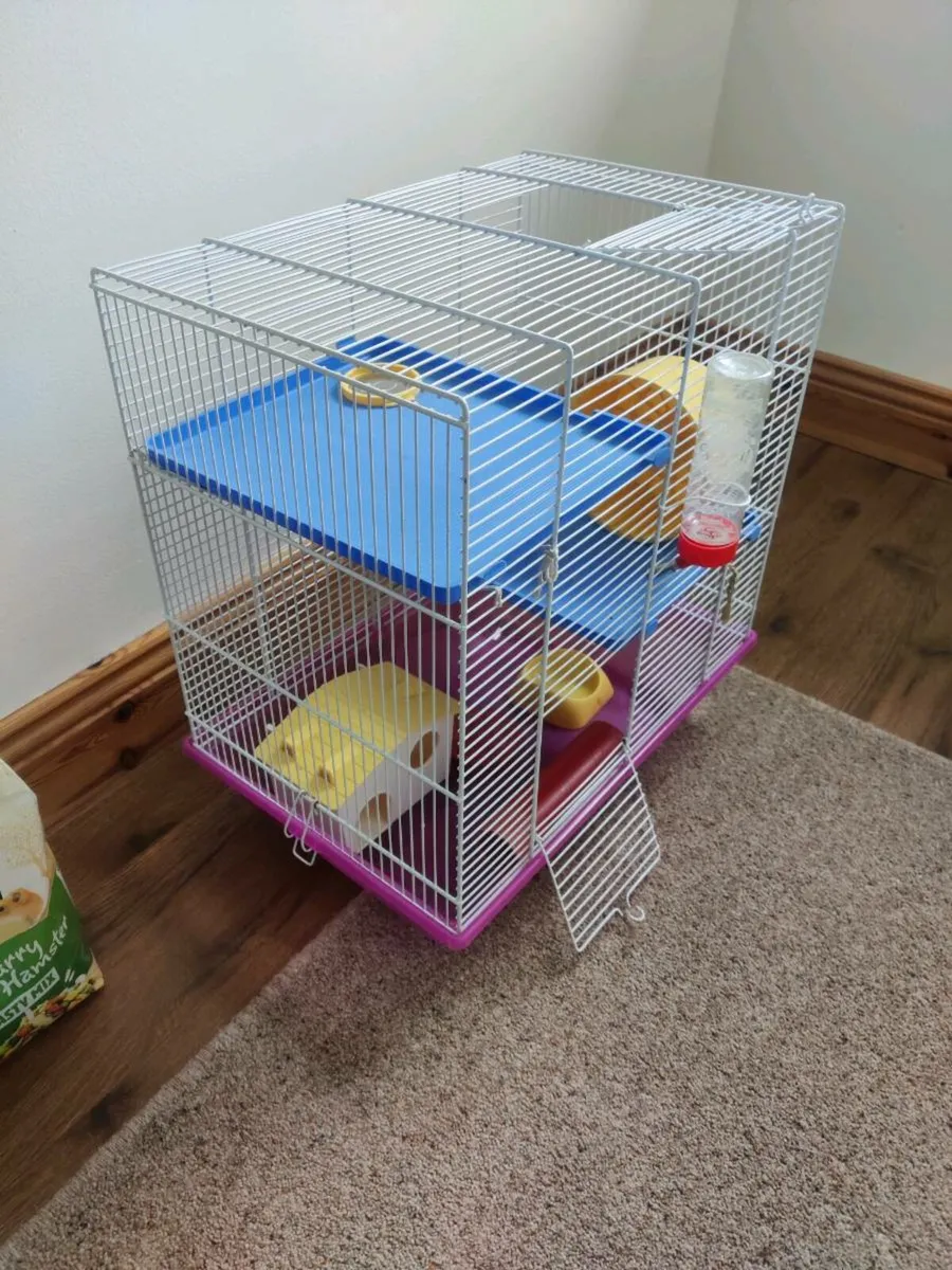 Hamster cage (including supplies) - Image 2