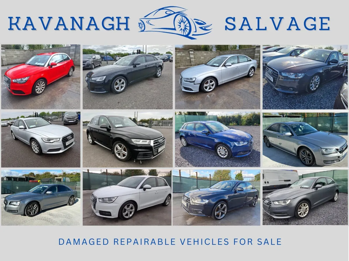 ****FOUR WEEK SALE NOW ON EVERYTHING REDUCED **** - Image 3