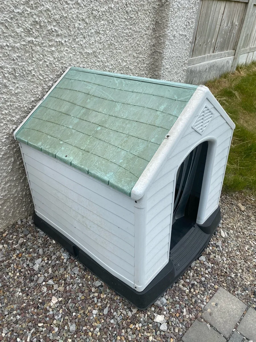 DOG HOUSE - Image 2