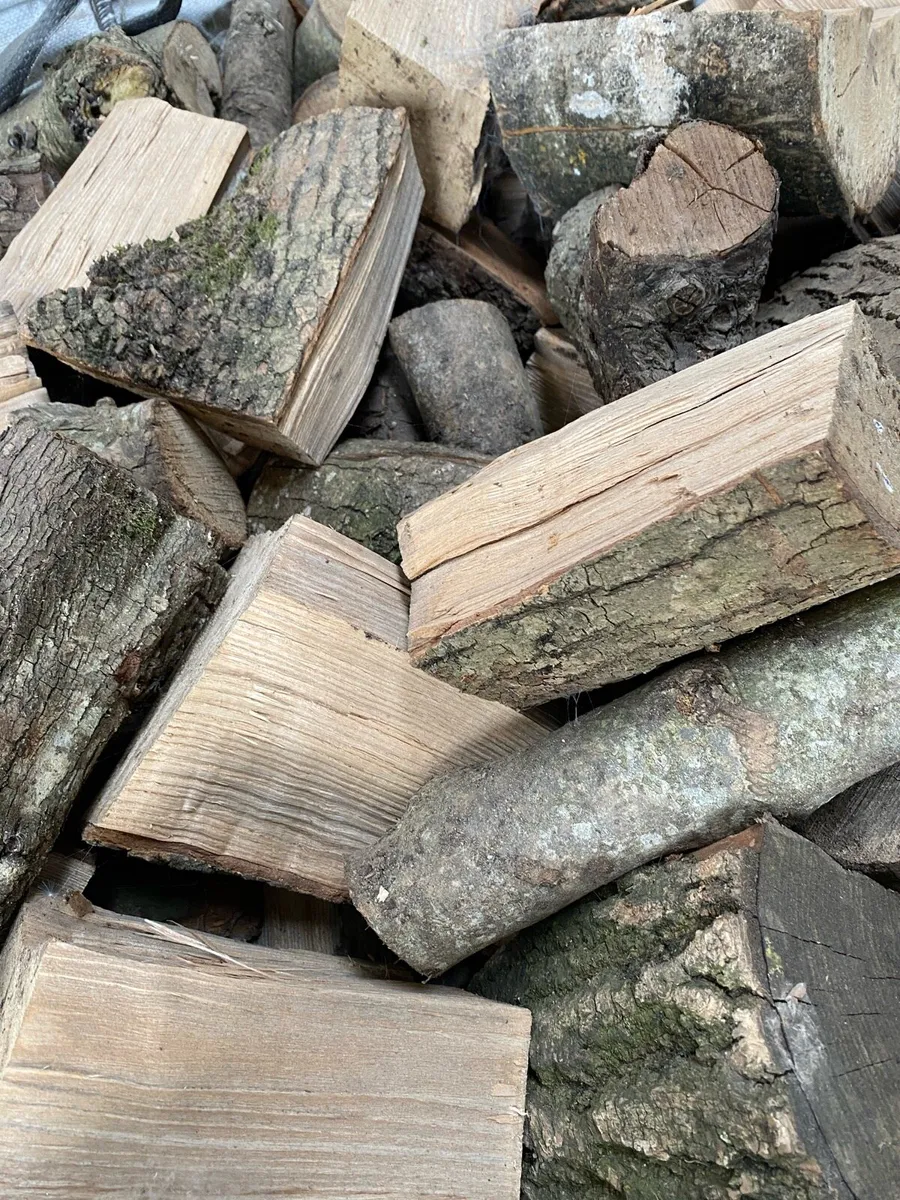 Firewood - Image 2