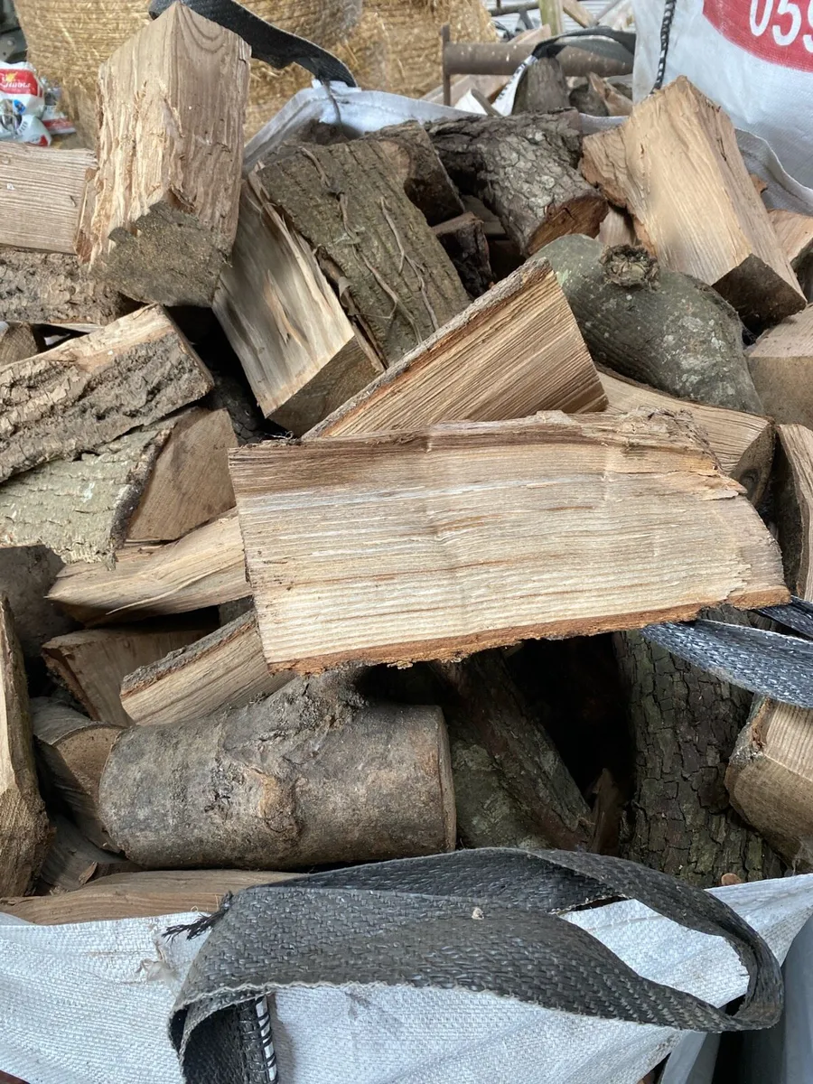 Firewood - Image 3