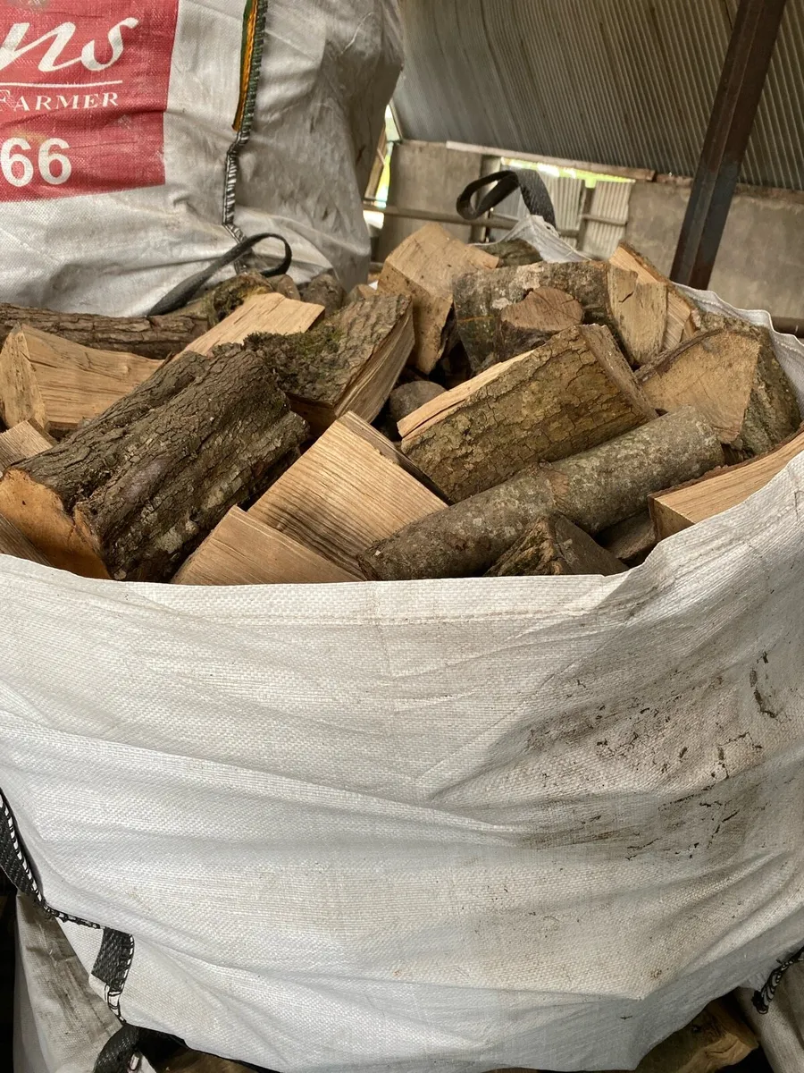 Firewood - Image 4