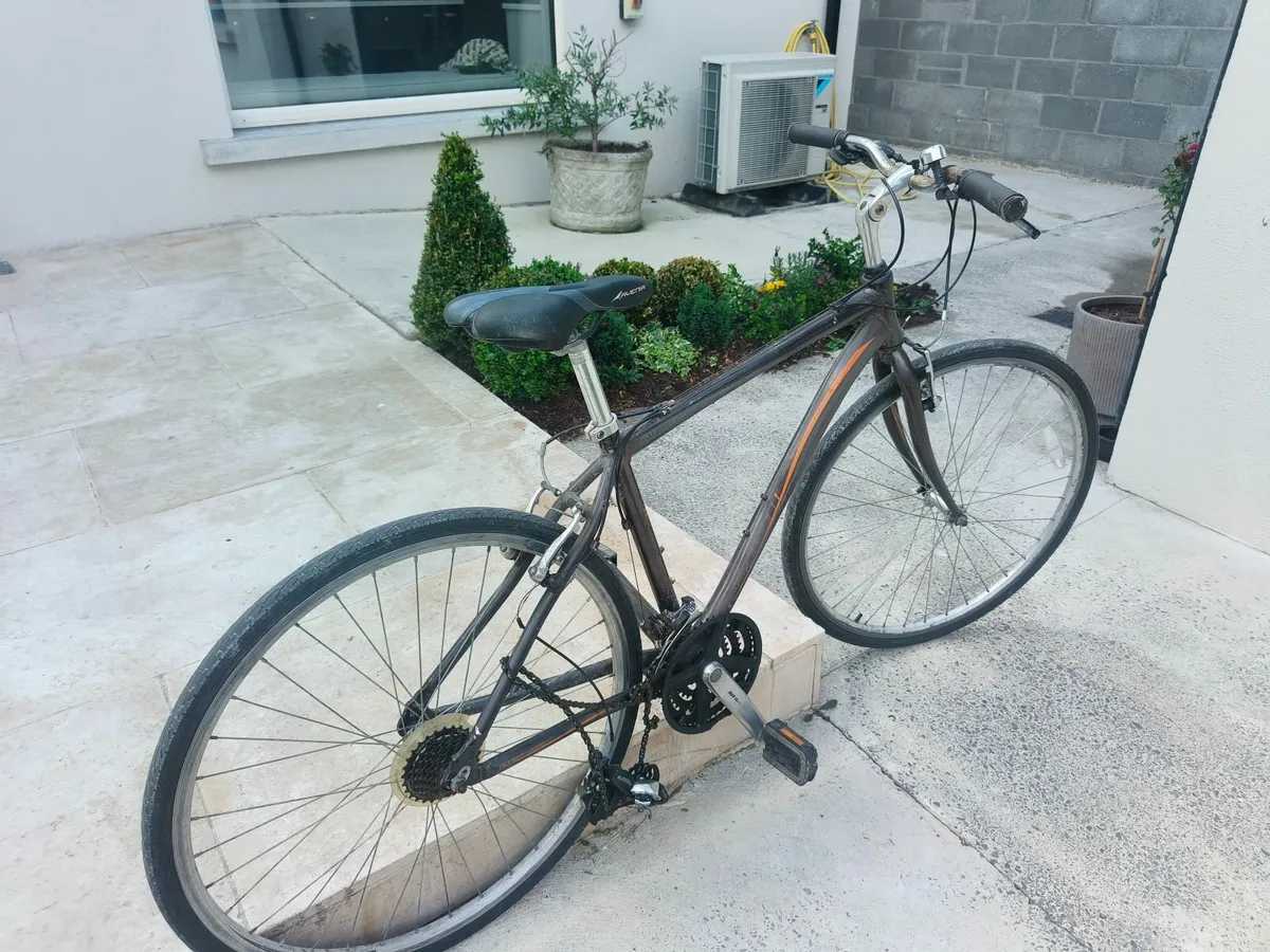 Raleigh Adult Bicycle - Image 1