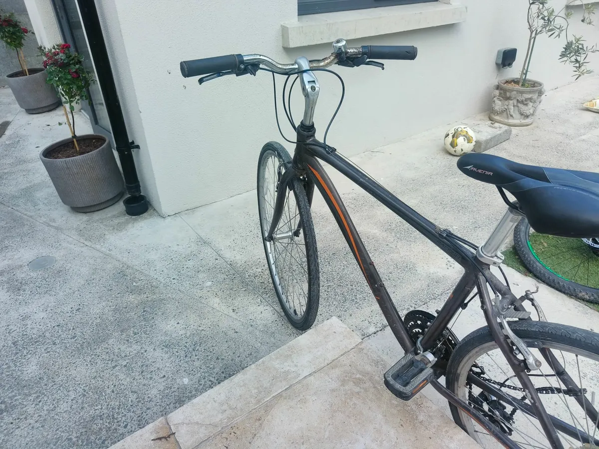 Raleigh Adult Bicycle - Image 2