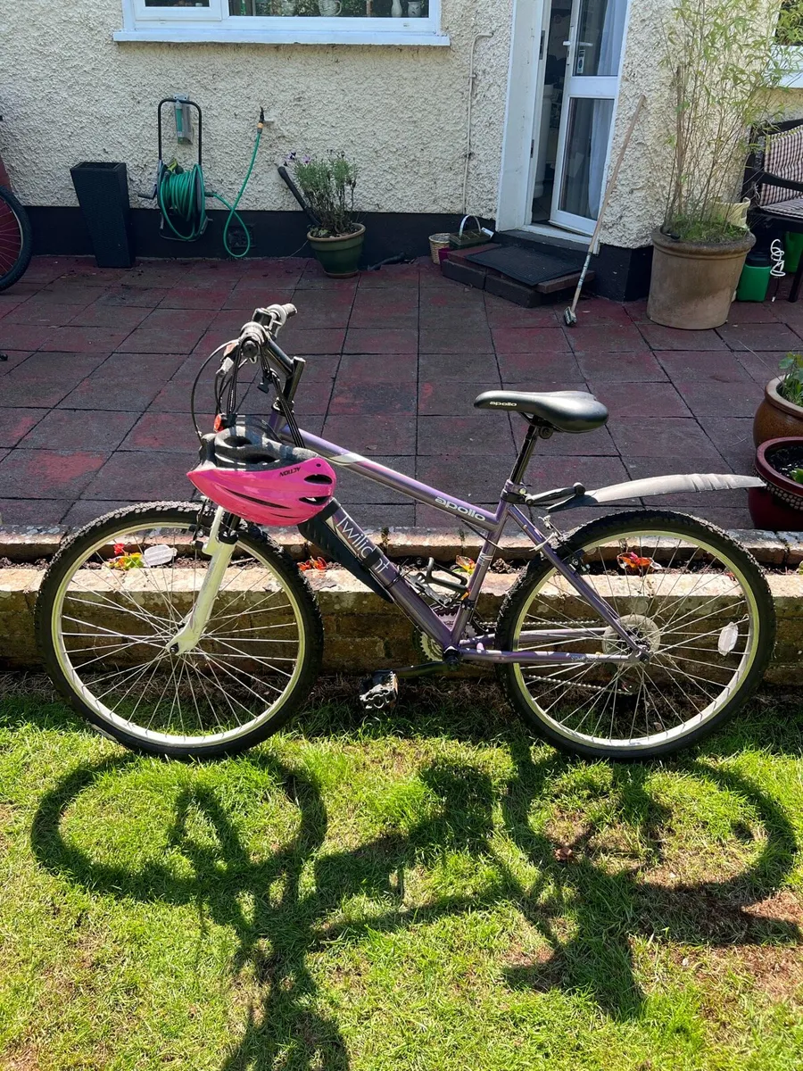 Girls Bicycle - Image 2