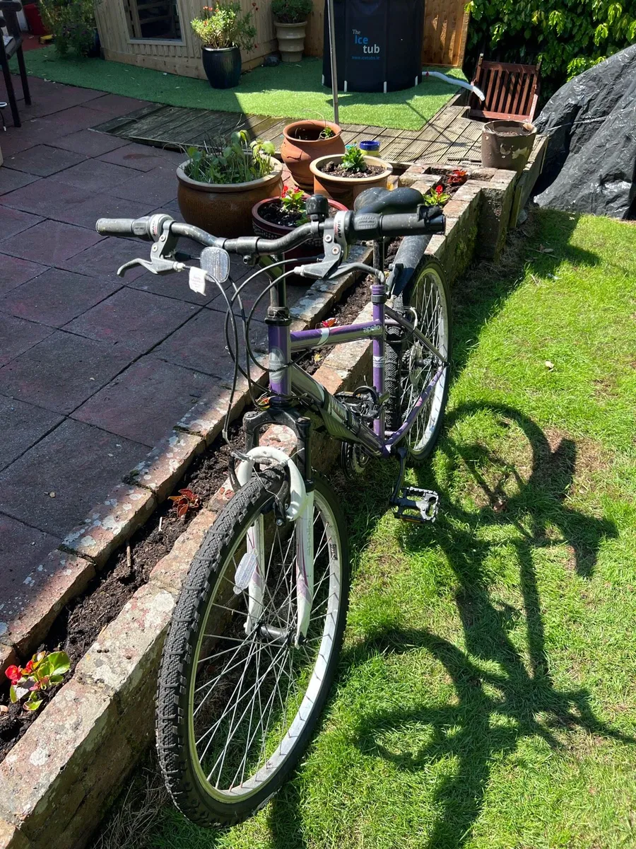 Girls Bicycle - Image 4