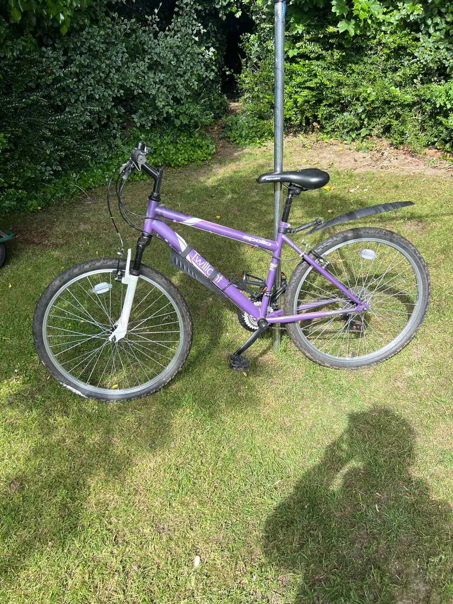 Girls Bicycle - Image 1