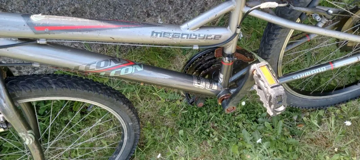 Kids bike - Image 2