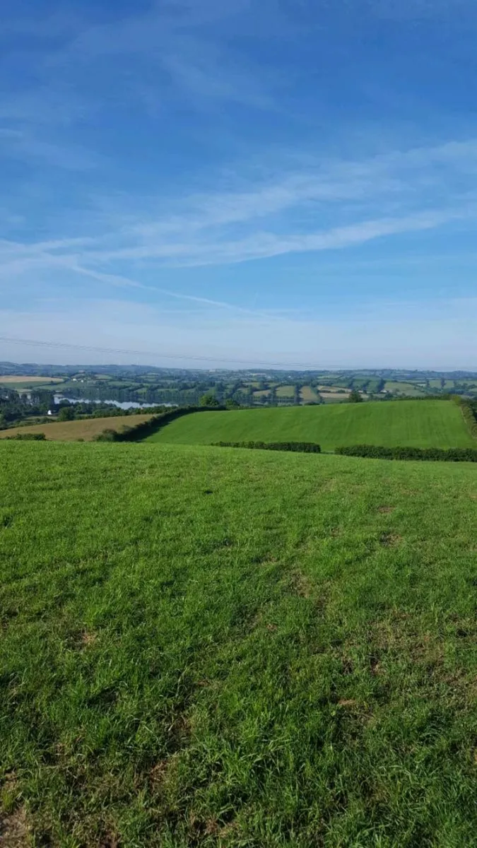 Land wanted