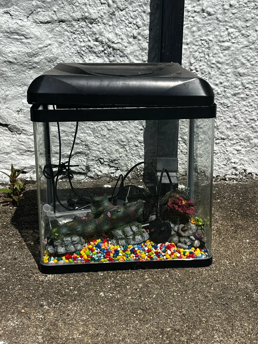 Fish Tank and Accessories - Image 1