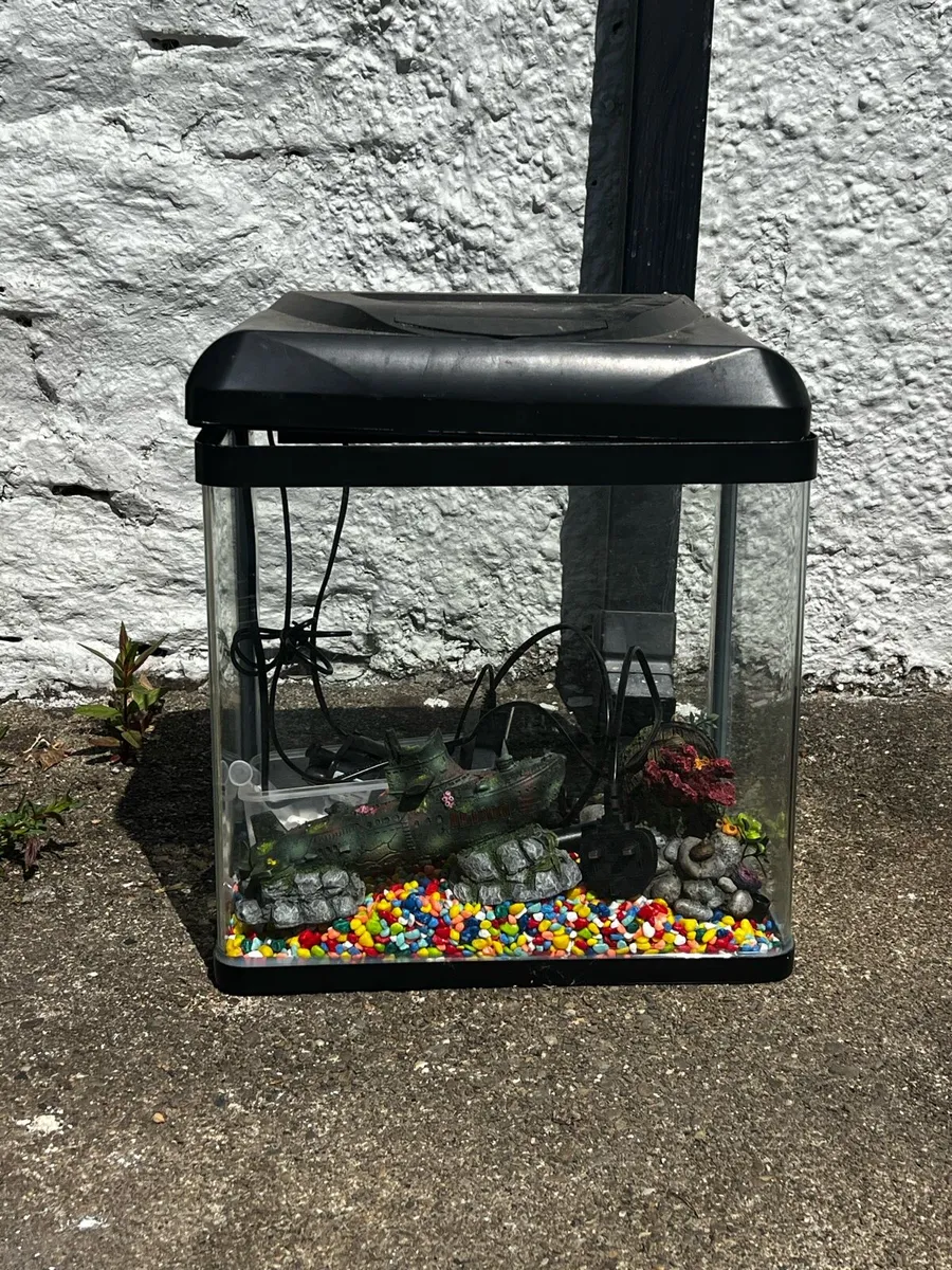 Fish Tank and Accessories - Image 2