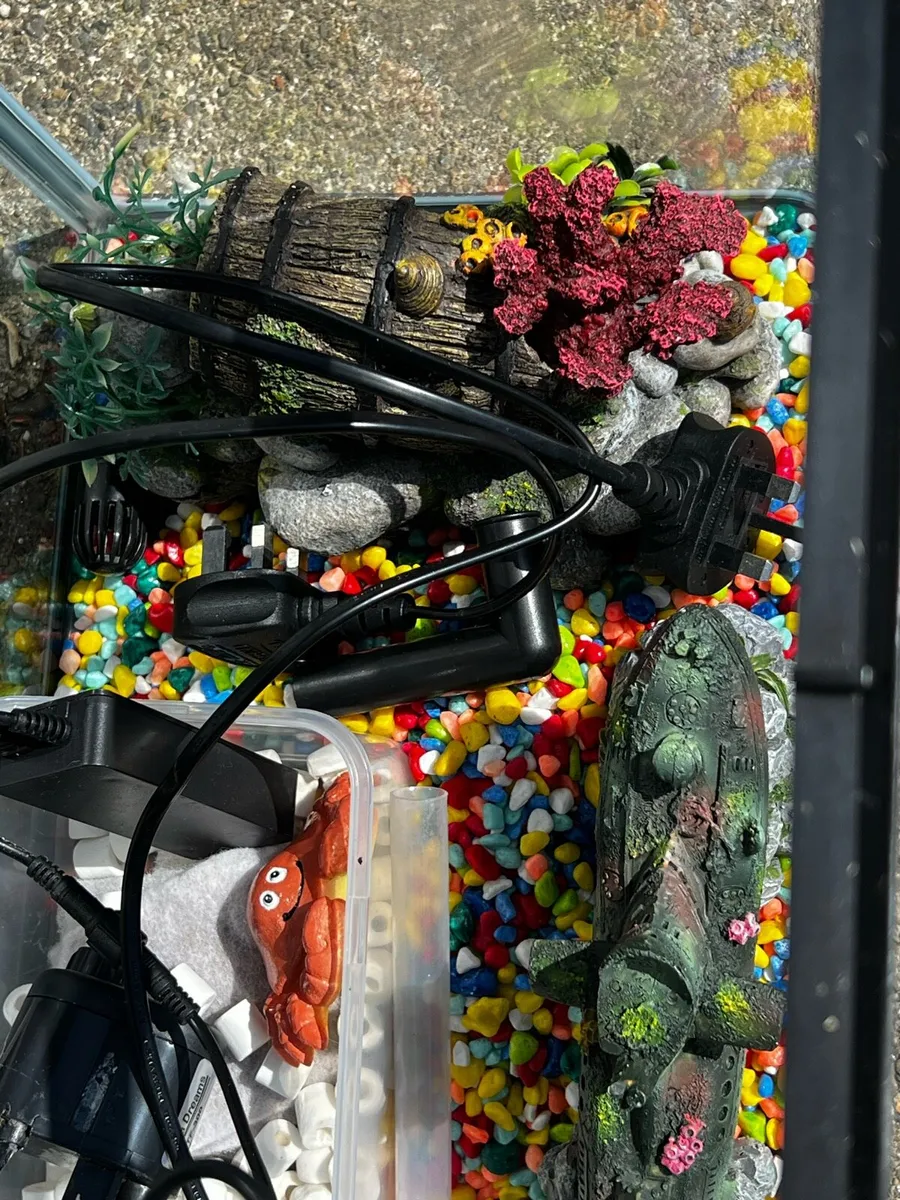 Fish Tank and Accessories - Image 3