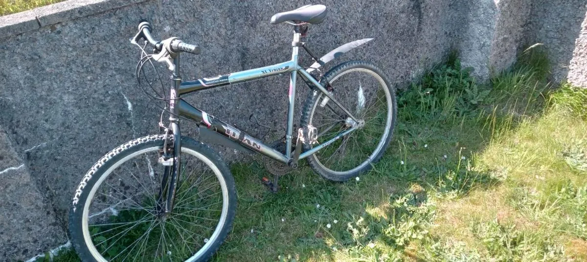 Adults bike - Image 1