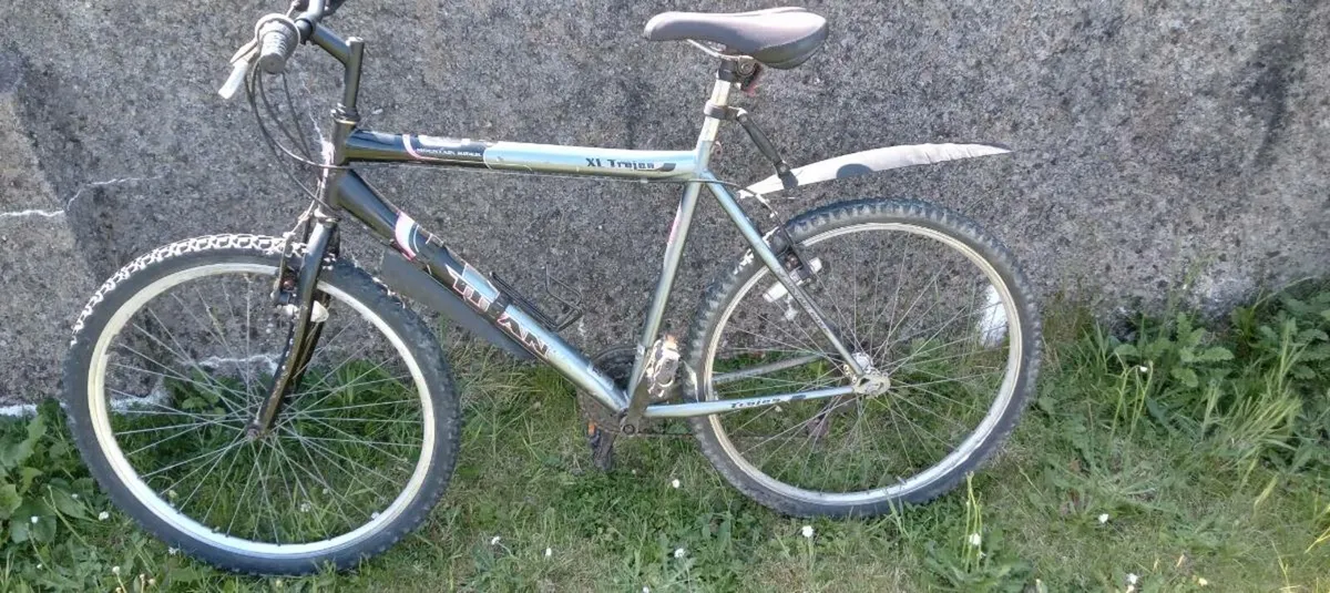 Adults bike - Image 3