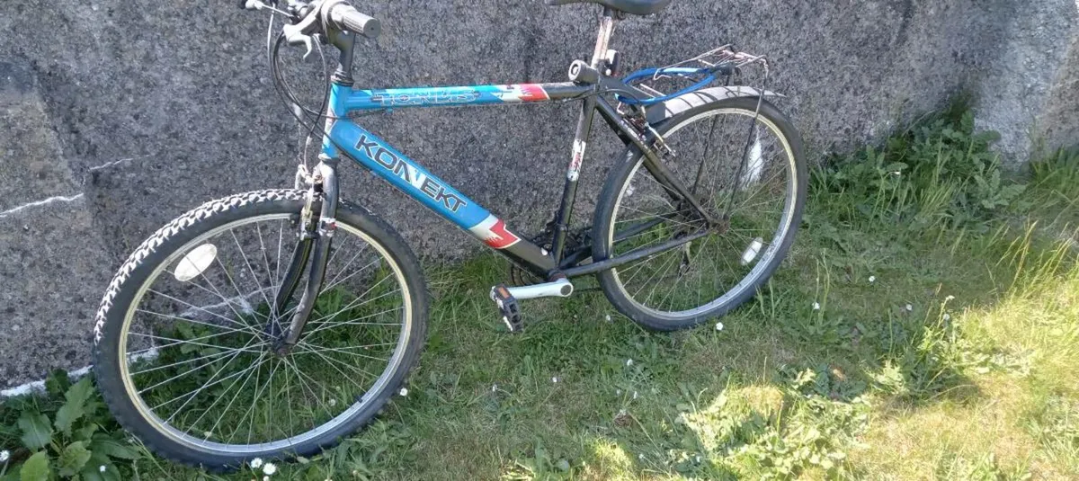 Adults bike - Image 1