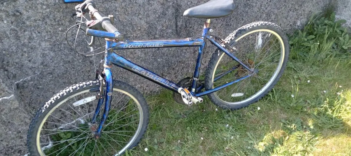 Boys bike - Image 1