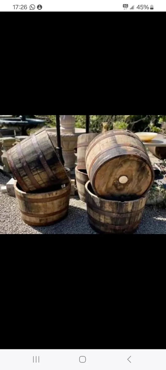 Oak Barrels - Image 2