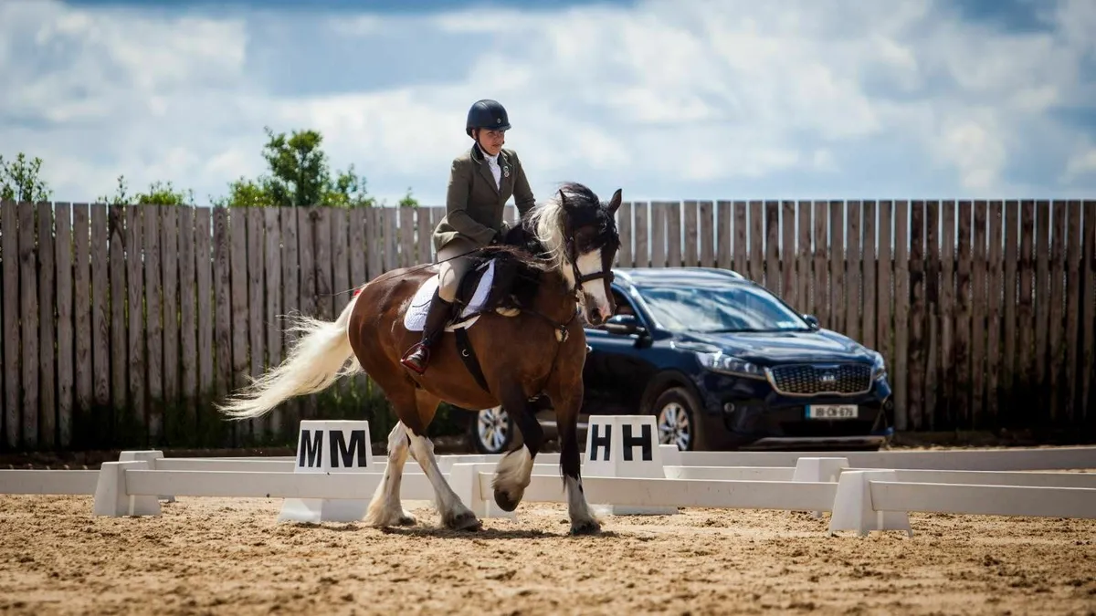 Freelance Groom/Horse Sitter - Image 3