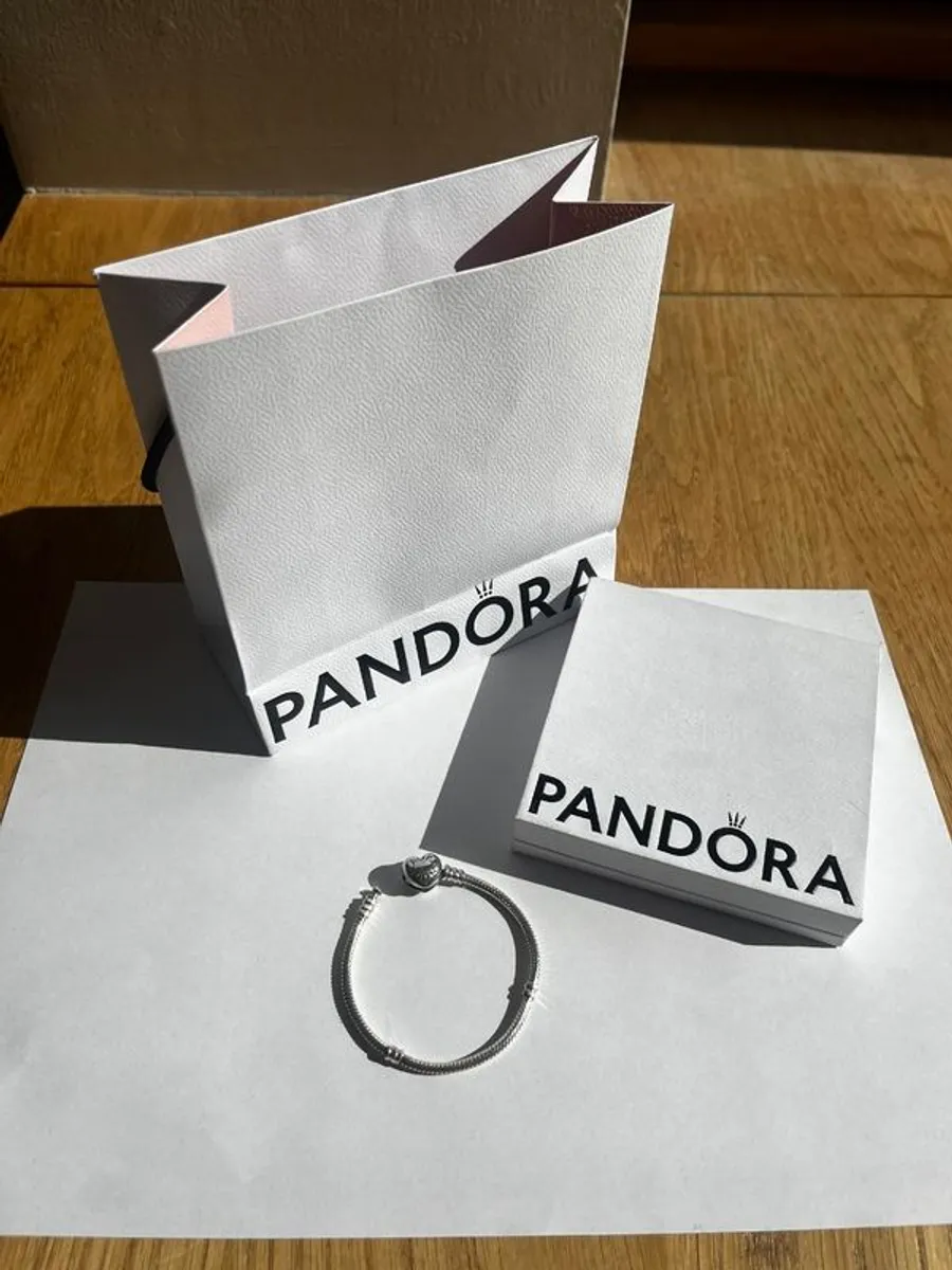 Pandora Bracelet - Image 2