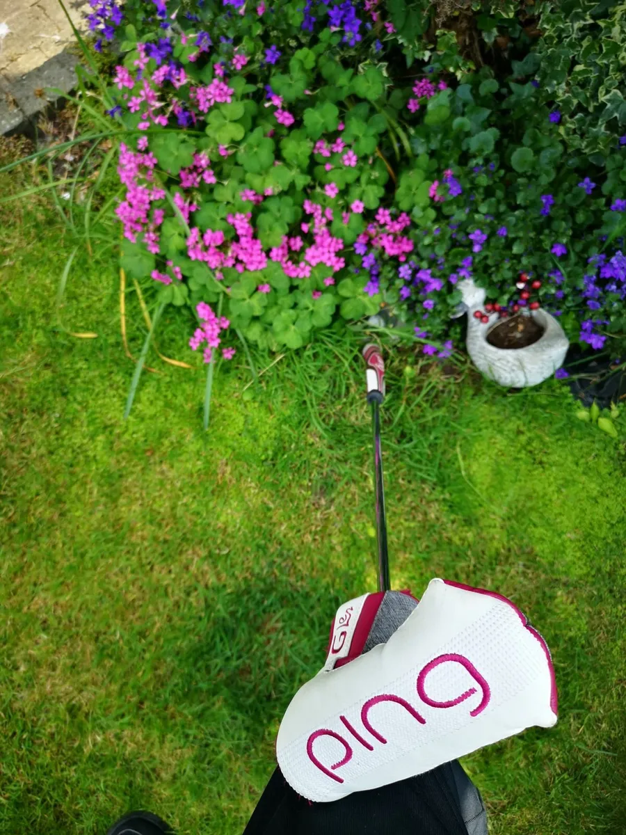 Lady's soft face putter. As new - Image 1