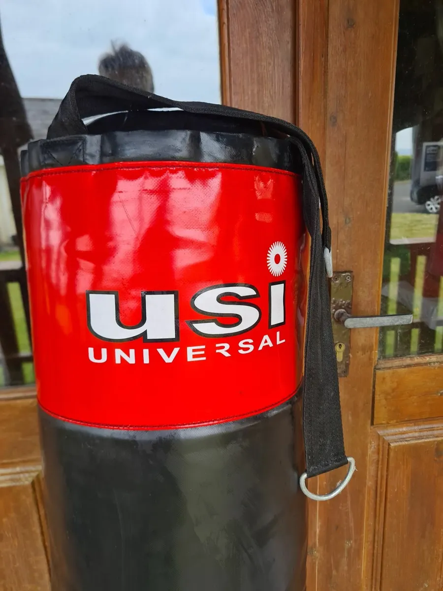 Boxing bag - Image 1