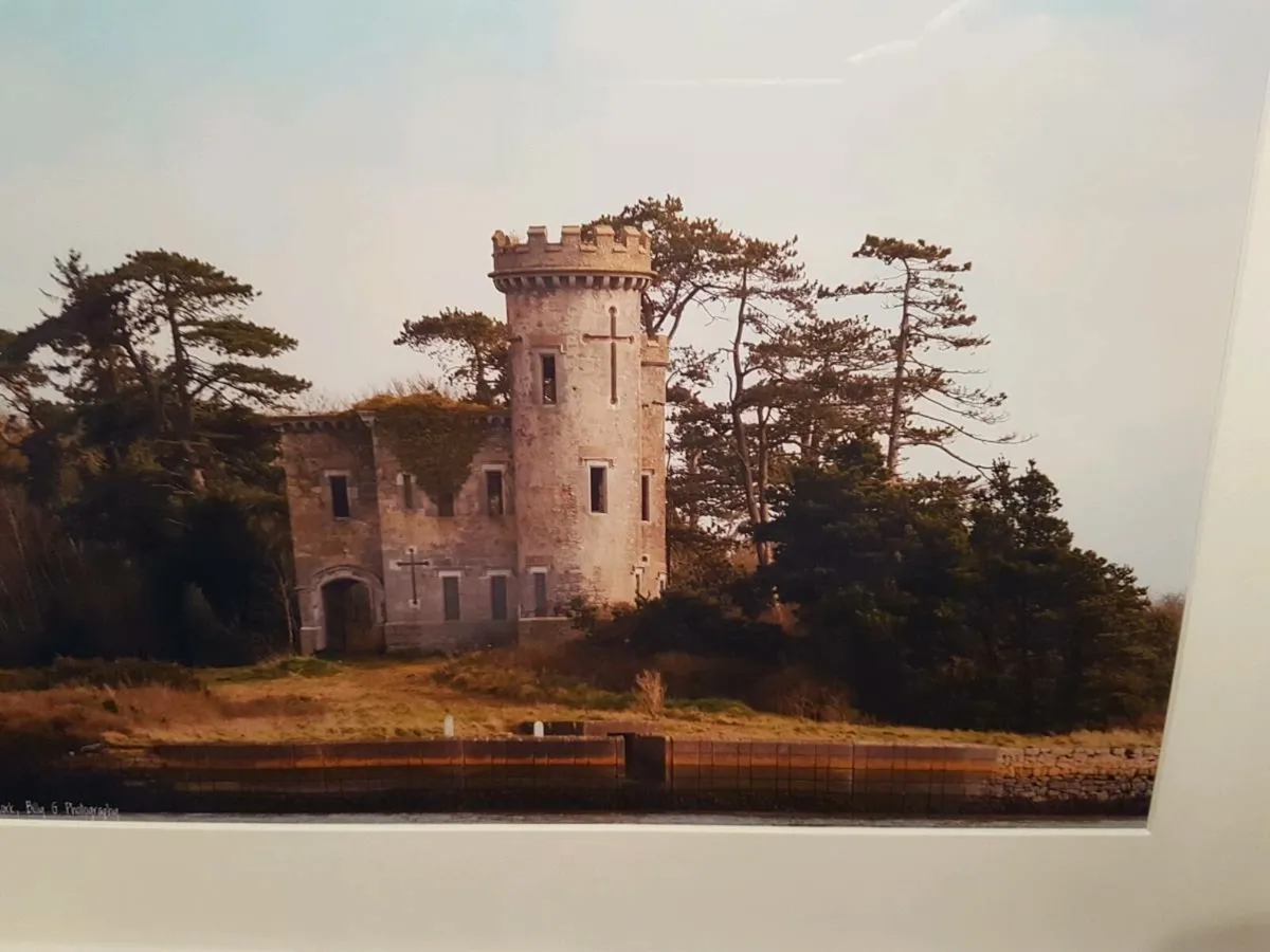 Fota Castle - Image 2