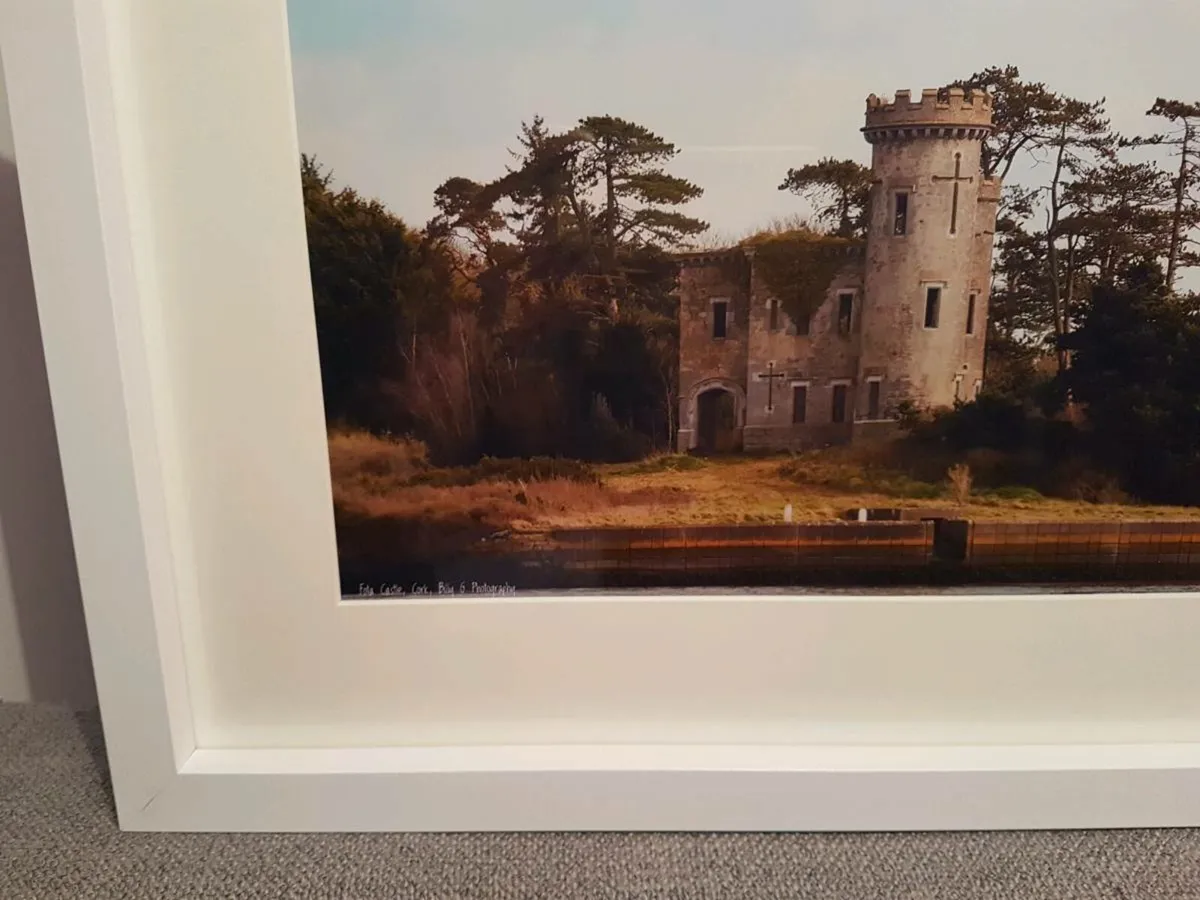 Fota Castle - Image 4