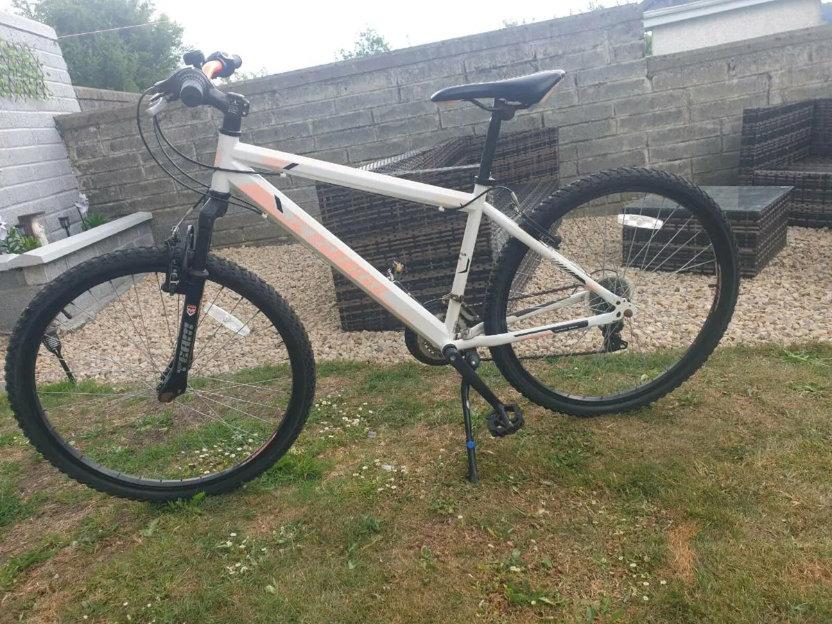 ADULTS BIKE - Image 1