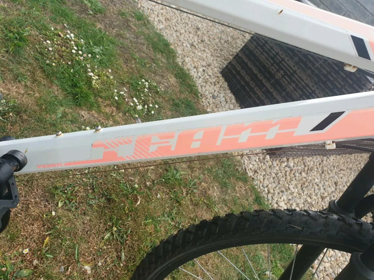 ADULTS BIKE - Image 2