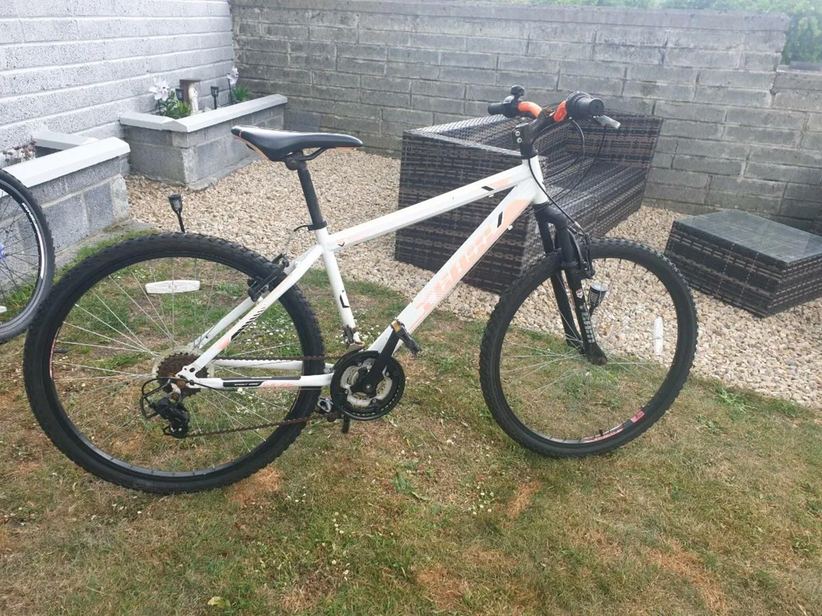 ADULTS BIKE - Image 3