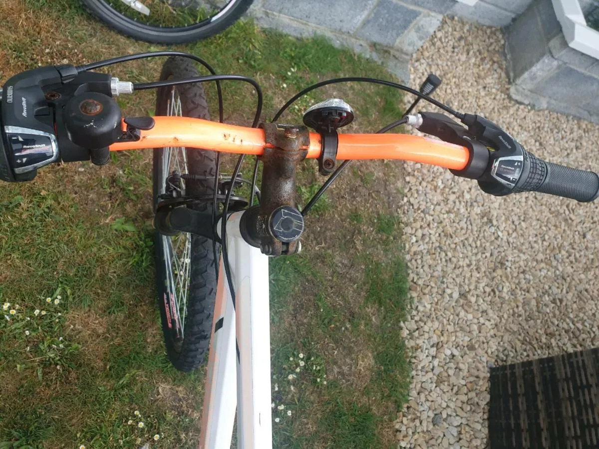 ADULTS BIKE - Image 4